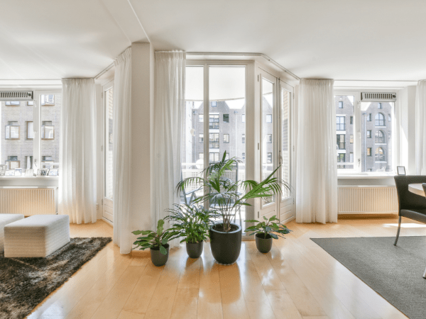 a room with white curtains and plants